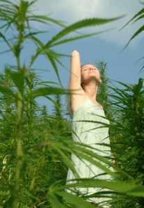 Madel_und_Hanfplanze